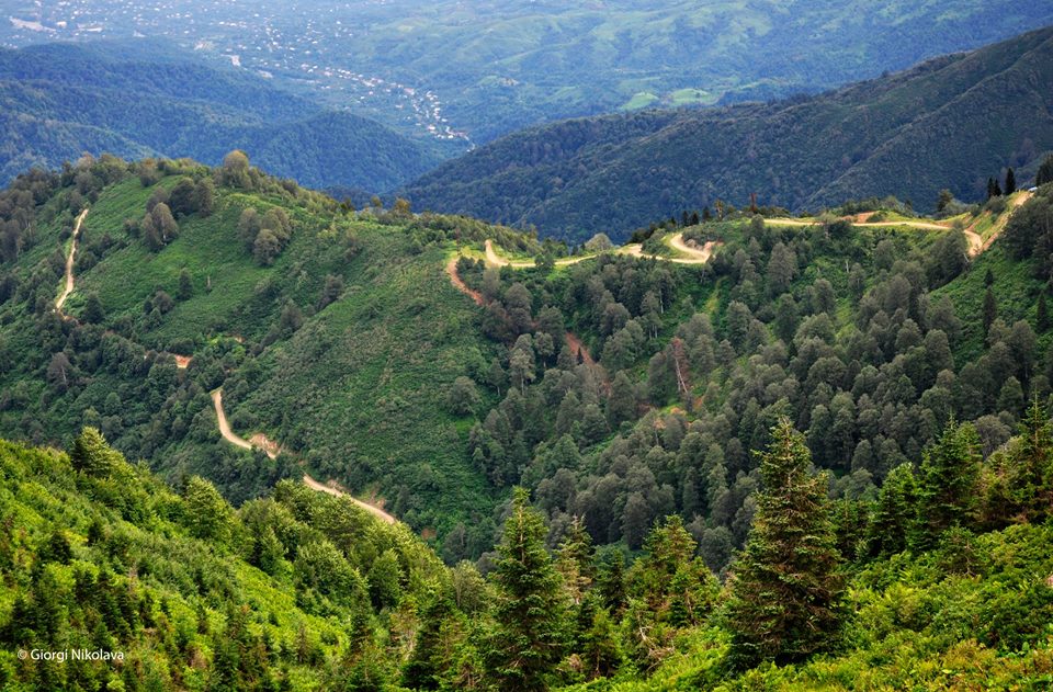 Georgia’s Guria Region - “The land of the restless” geotv.ge